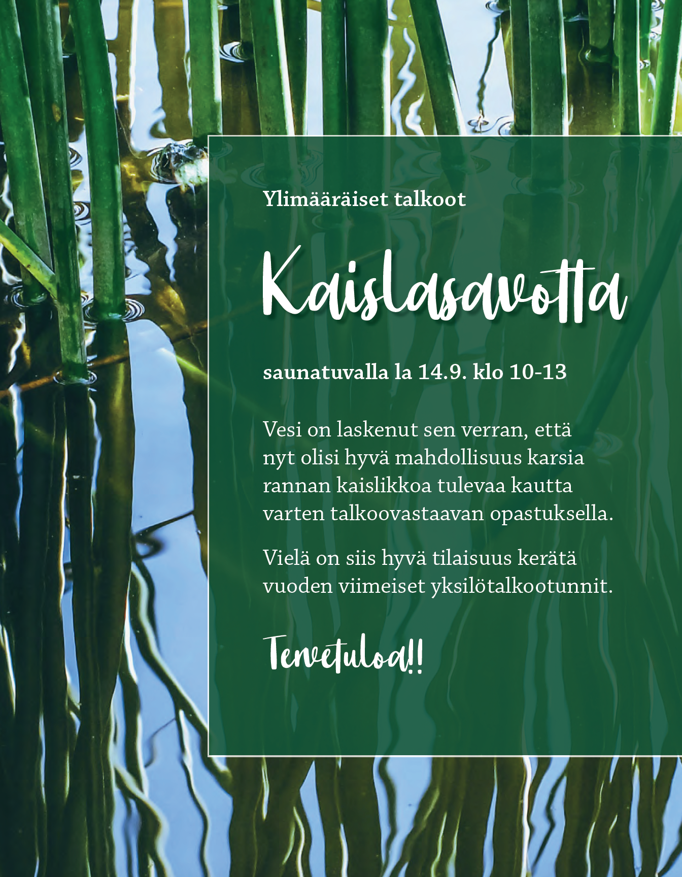 Ylimääräiset talkoot, Kaislasavotta